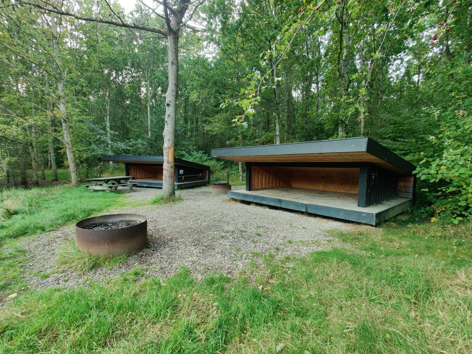 Billede af shelter Shelterplads i Tranbjerg Skov