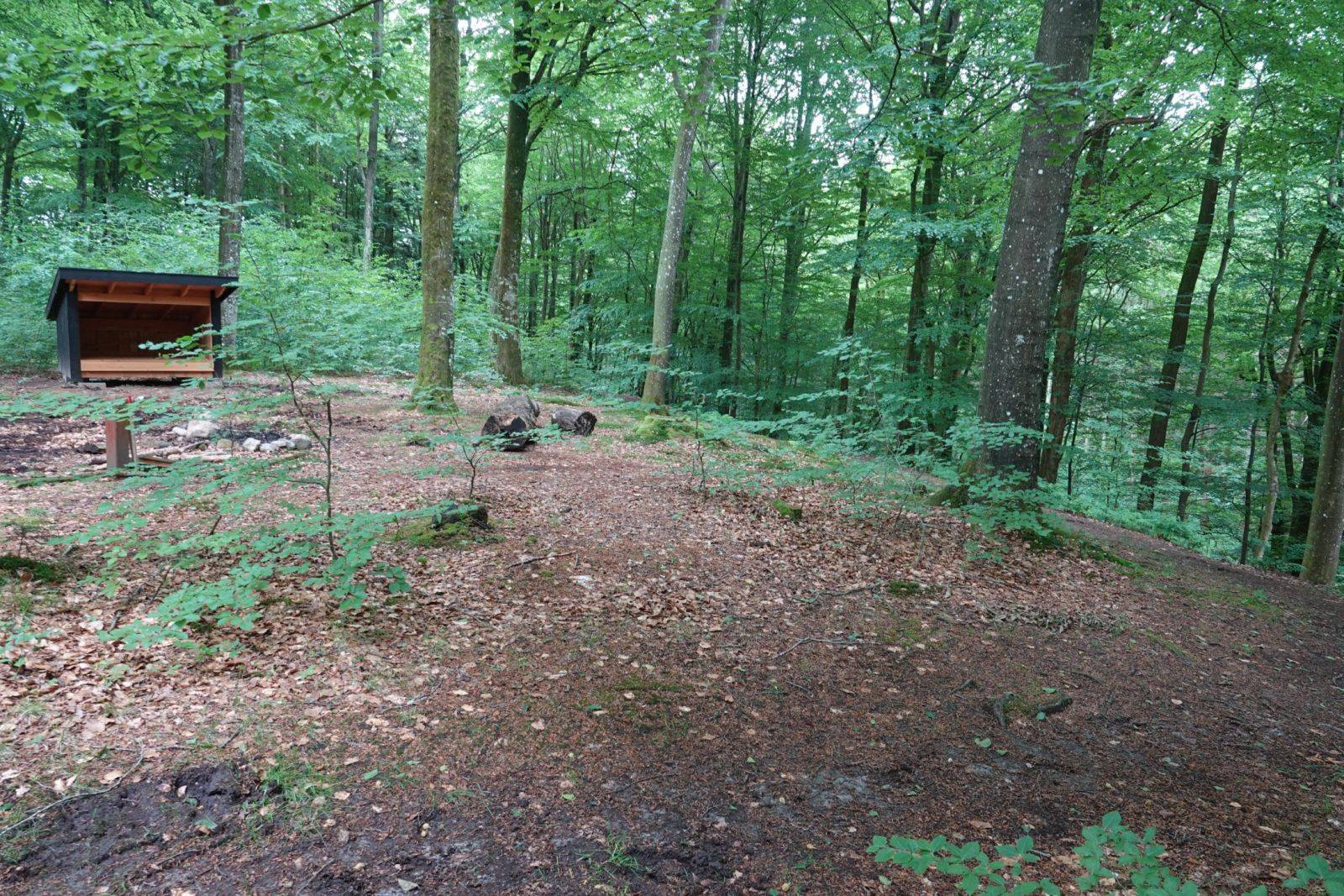 Billede af shelter Shelterplads Vindum Skov - Shelter nr. 2 (ikke bookbar) – billede 3