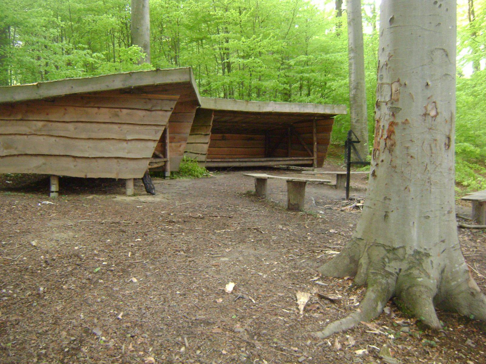 Billede af shelter Lambjerg Indtægt - Shelter "Uglen"