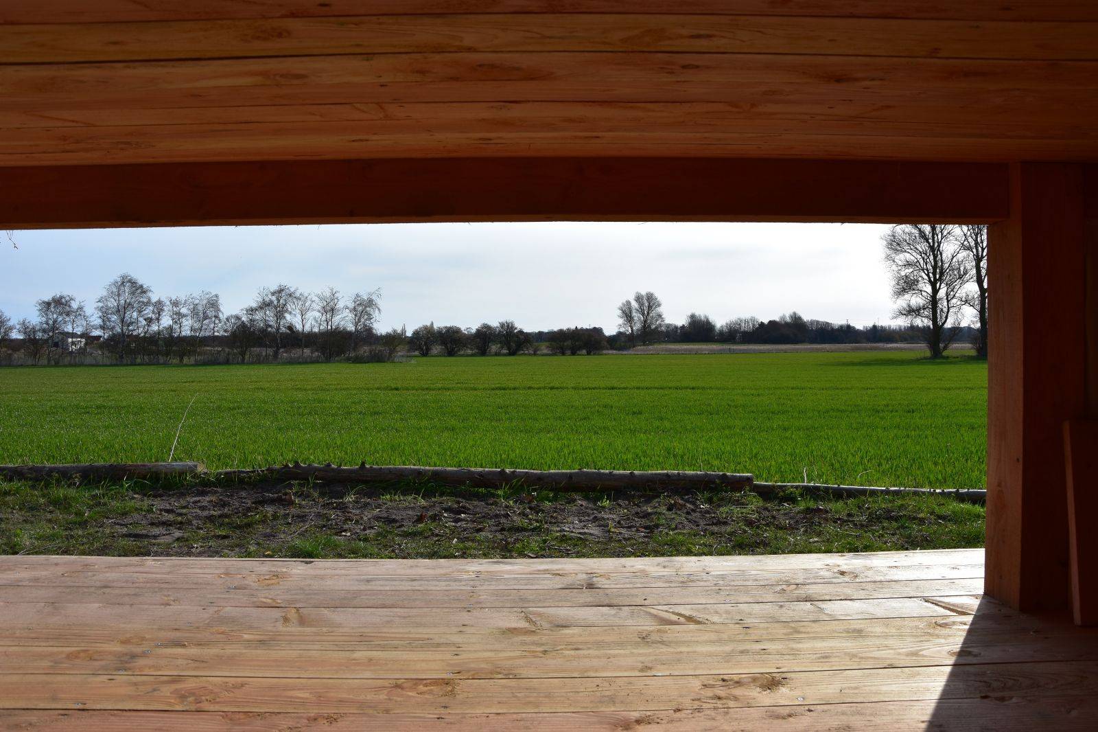 Billede af shelter Vålse Vig shelterplads – billede 5