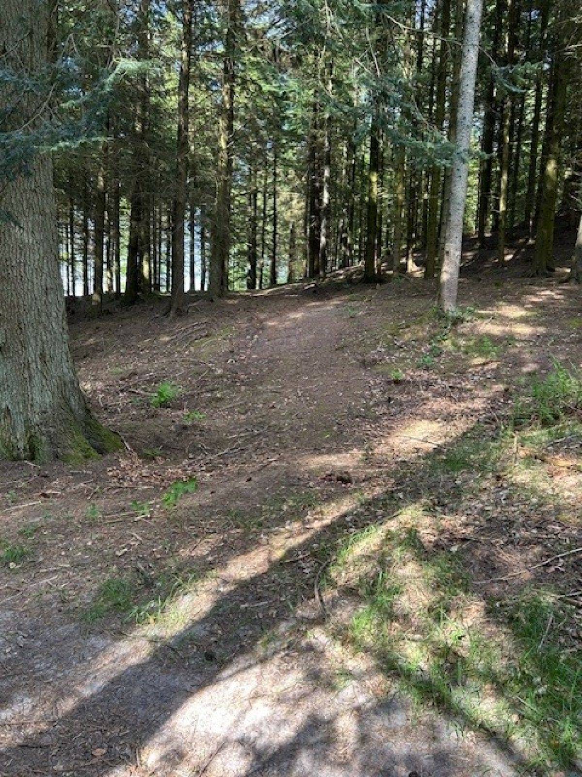 Billede af shelter Legind Bjerge, Gl. Friluftsscene – billede 6