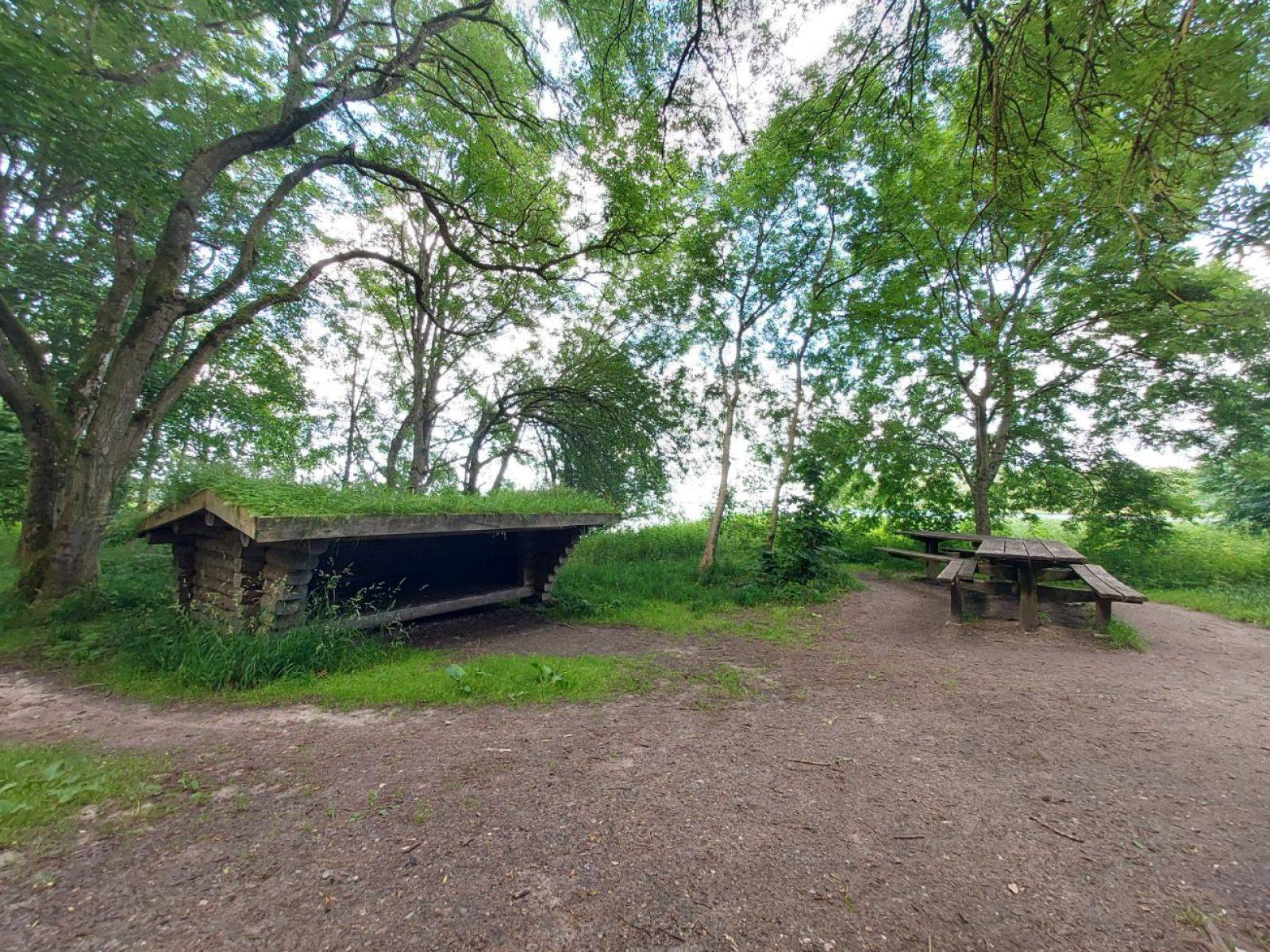 Billede af shelter Kong Roar Shelterpladsen, Boserup Skov – billede 3
