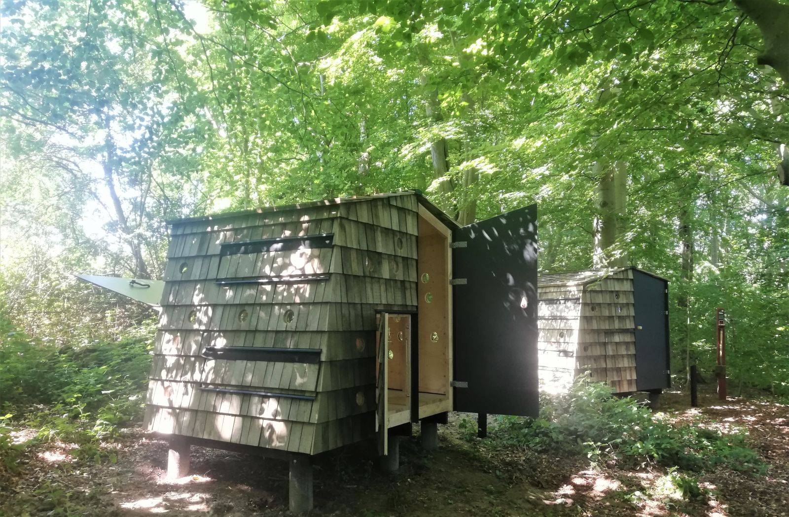 Billede af shelter Lejrplads med shelter 2 - Kasmose Skov