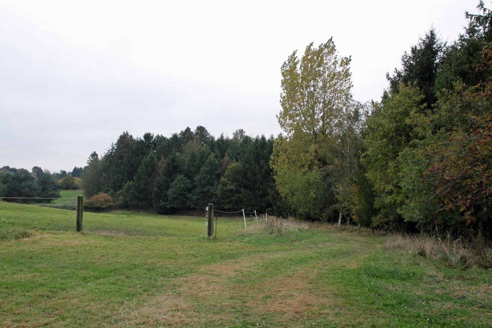 Billede af shelter Åmosenaturcamp – billede 4
