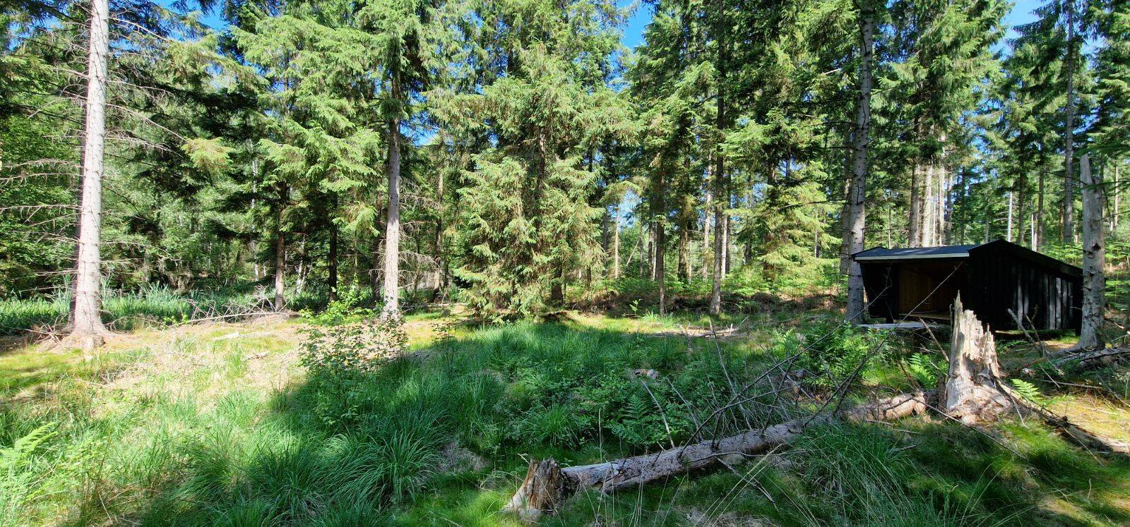 Billede af shelter Fagerhatten shelter