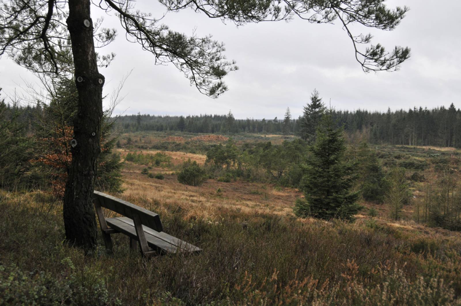 Billede af shelter Gyttegård Shelterplads