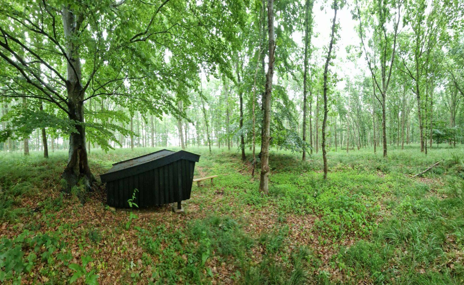 Billede af shelter Vendehalsen shelter – billede 2