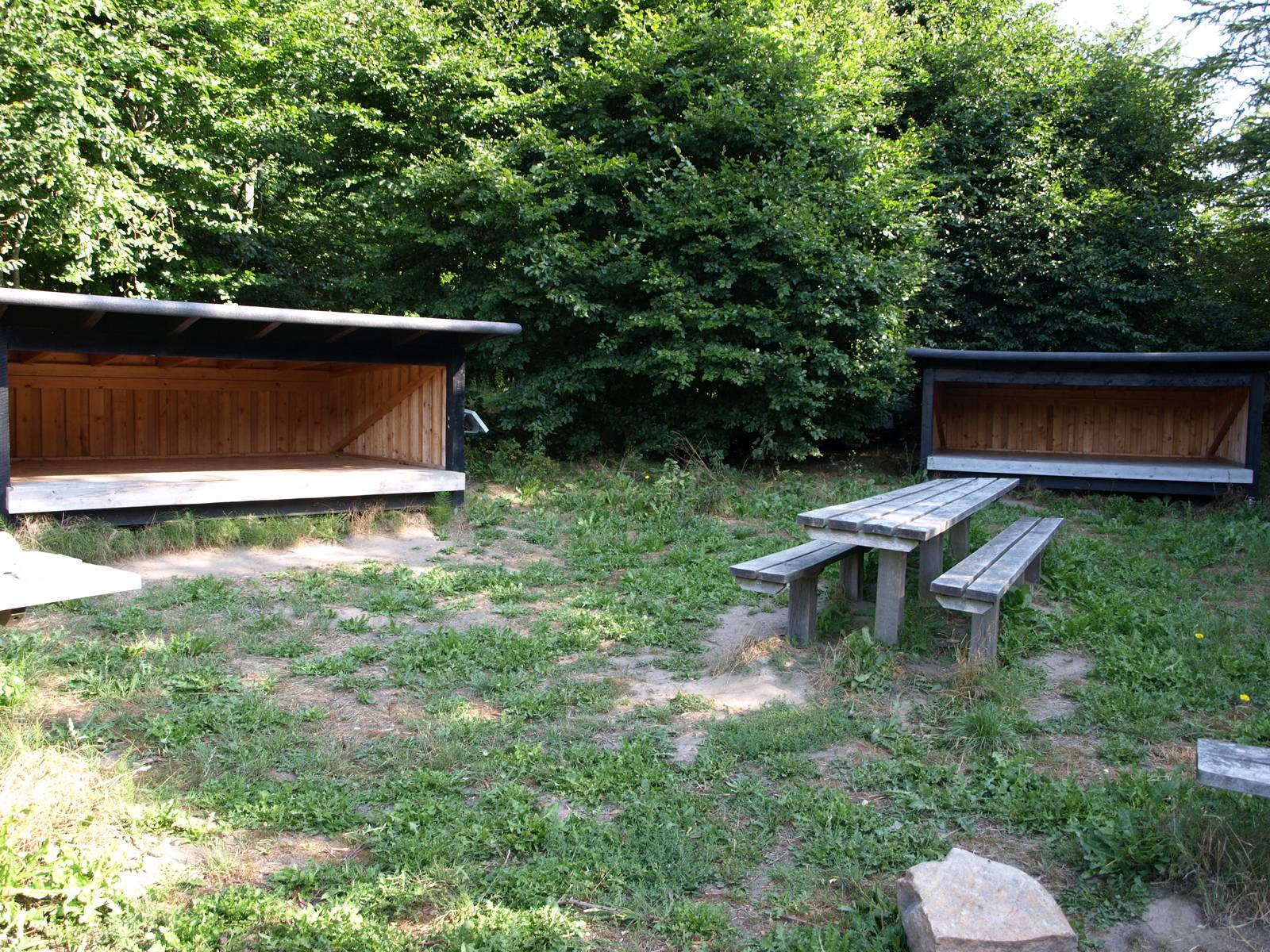 Billede af shelter Lejrplads med shelter 2 - Kirkendrup Skov
