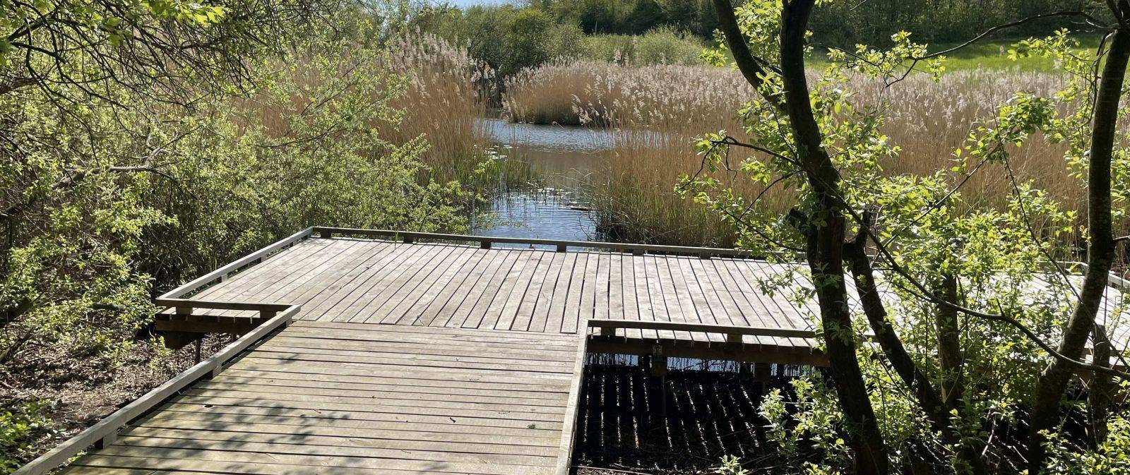 Billede af shelter Shelters i Vig Naturpark – billede 2