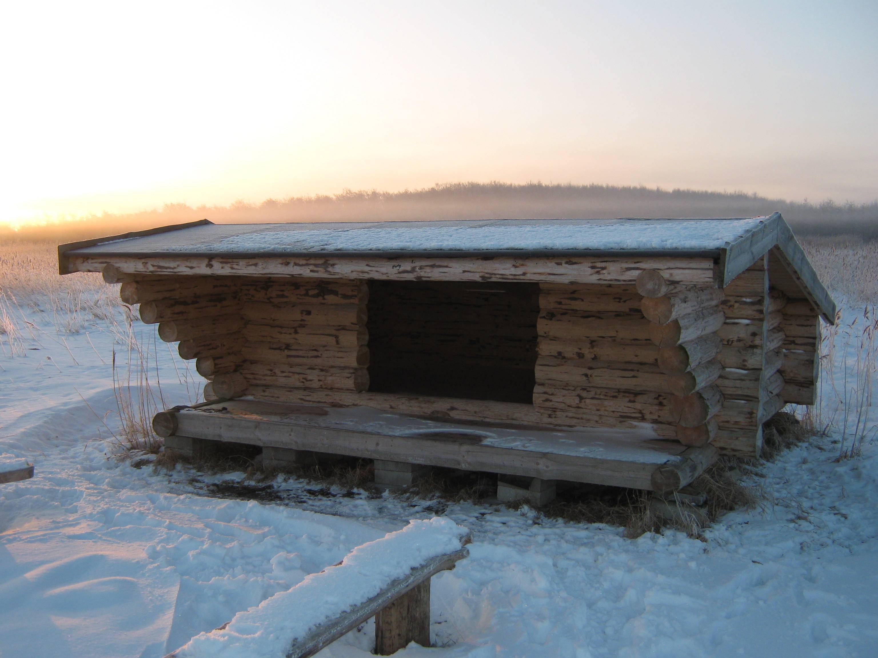 Billede af shelter Hasseris Skov - Nord – billede 2