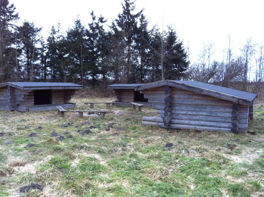 Billede af shelter Hasseris Skov - Syd – billede 1