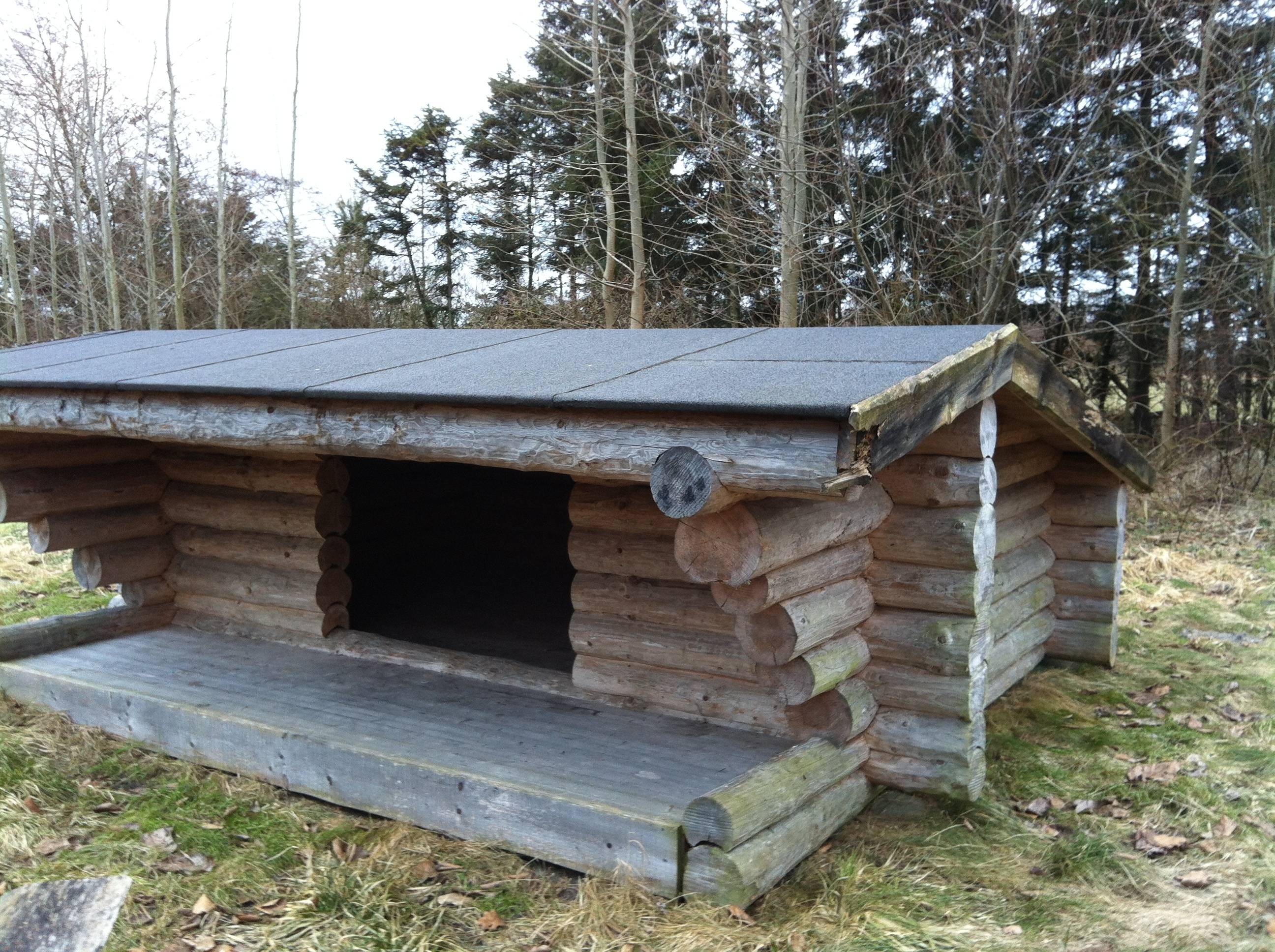 Billede af shelter Hasseris Skov - Syd – billede 2