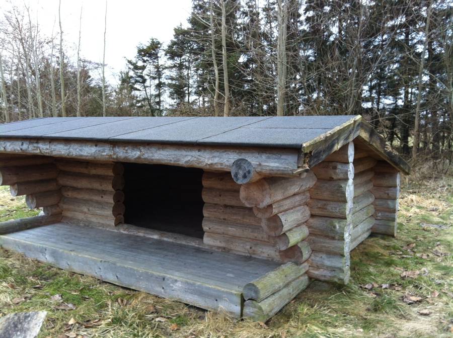 Billede af shelter Hasseris Skov - Syd – billede 2