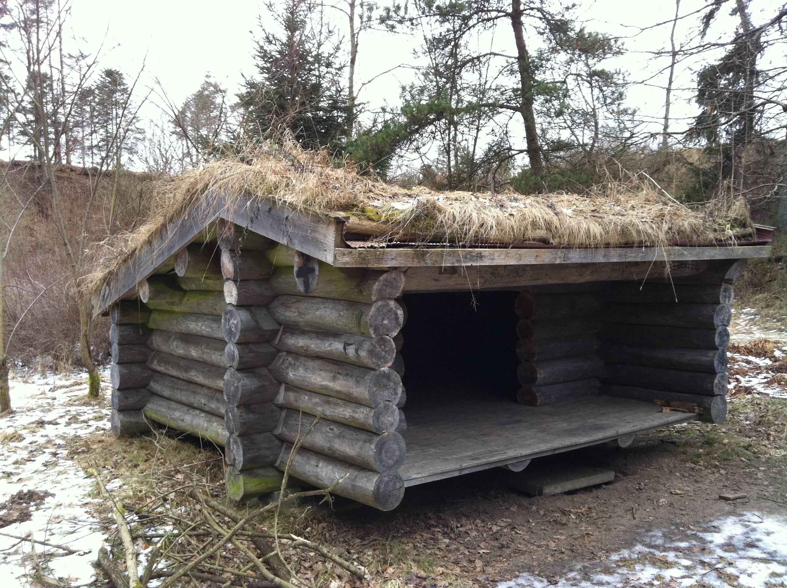 Billede af shelter Vester Aslund Plantage