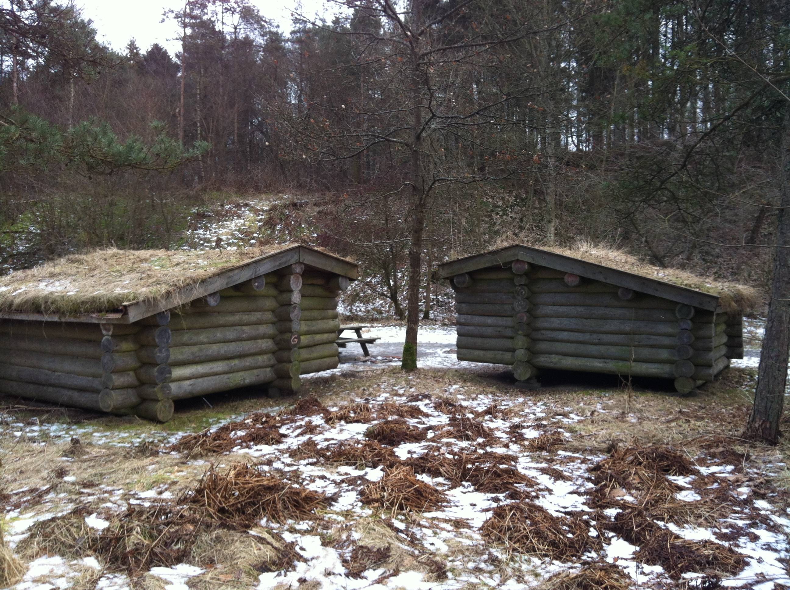 Billede af shelter Vester Aslund Plantage – billede 2