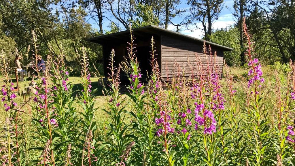Billede af shelter Janum Kjøt – billede 2