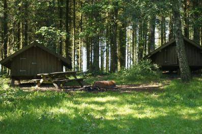 Billede af shelter Hammershøj - Østerby, shelters