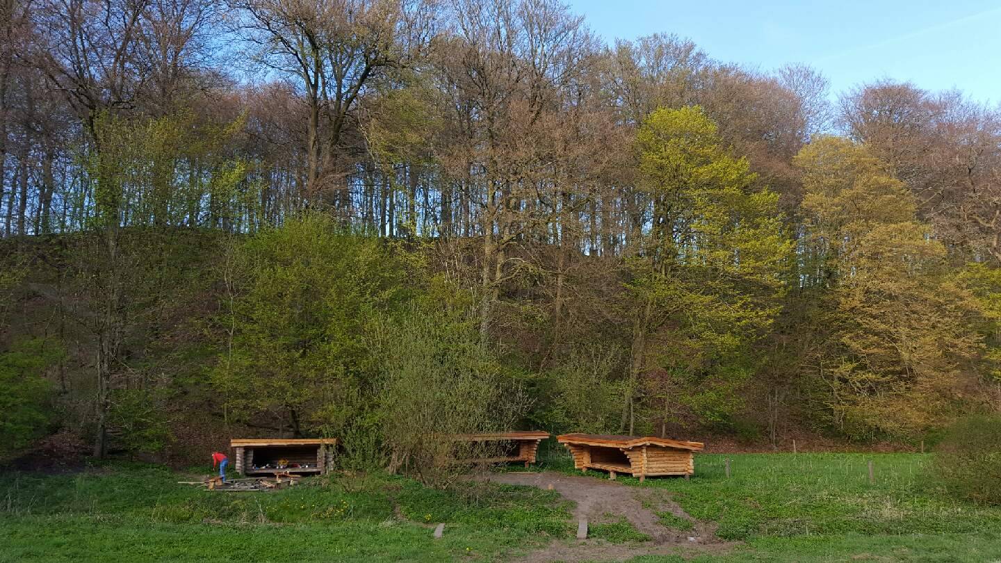 Billede af shelter Brandbjerg 3 sheltere – billede 1