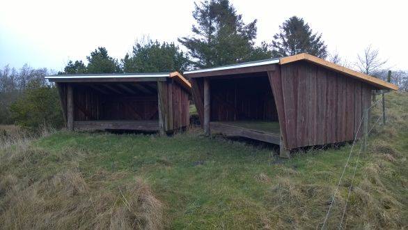 Billede af shelter Ringive 2 sheltere – billede 1