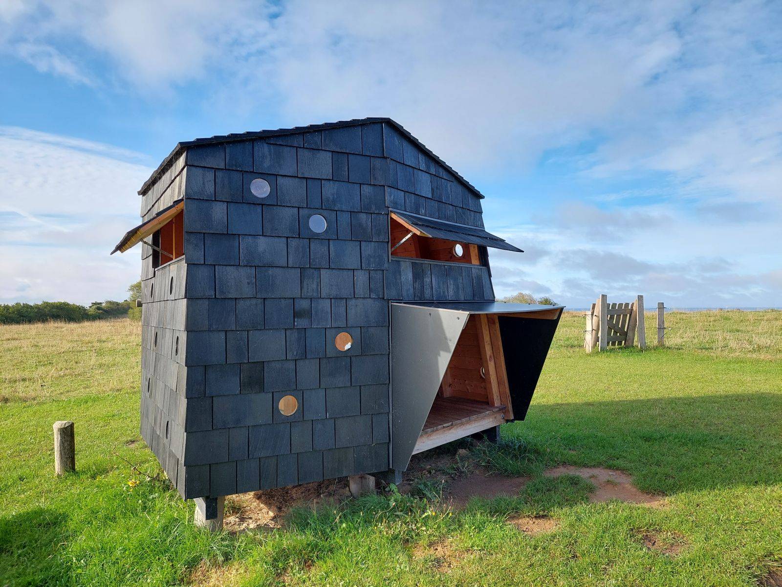 Billede af shelter Lejrplads med shelter - Avernakø – billede 2