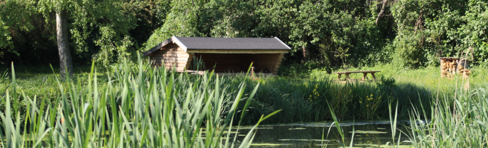 Billede af shelter Nellemose Shelterplads