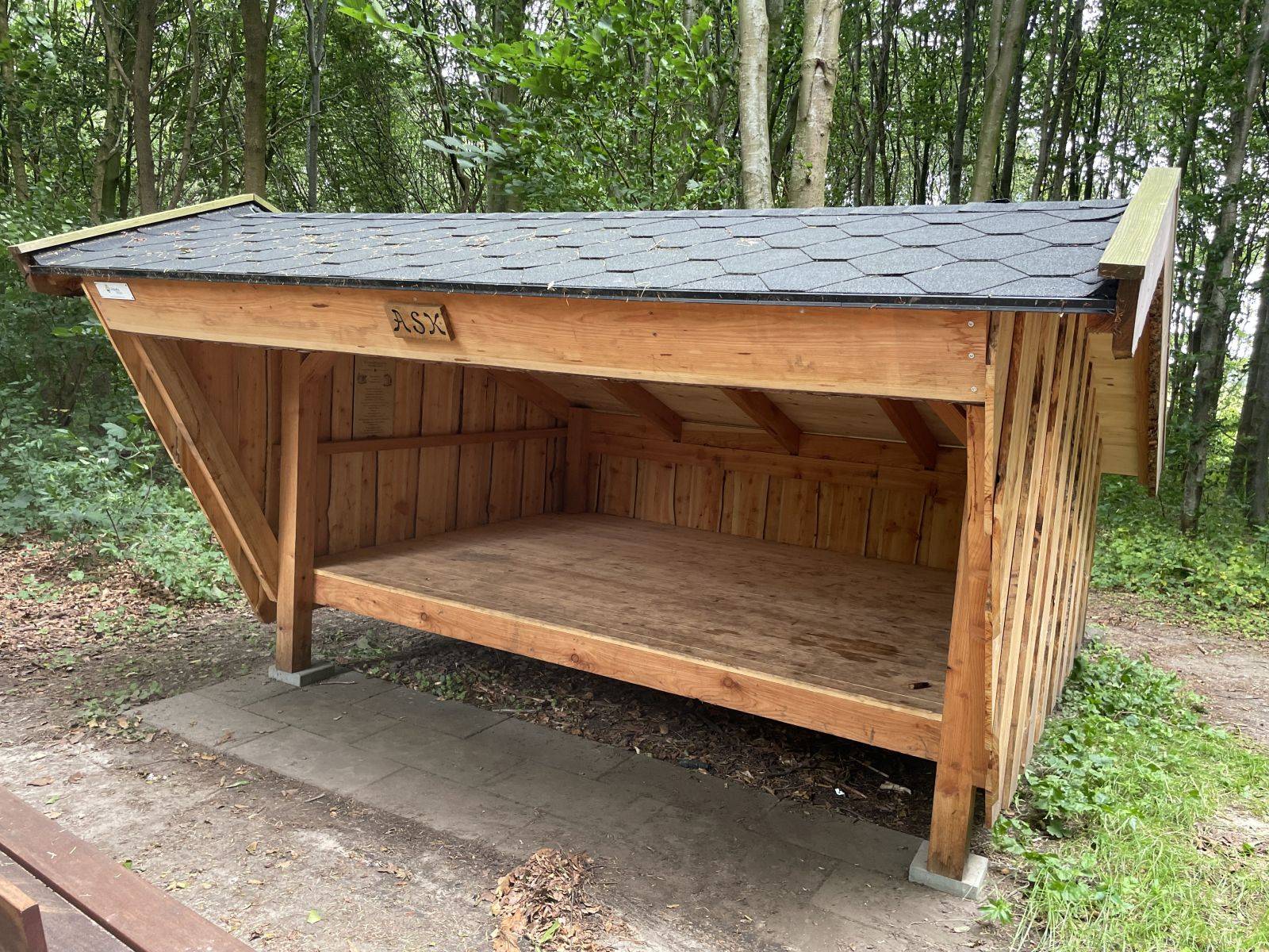 Billede af shelter Shelter i Larsens skov – billede 2