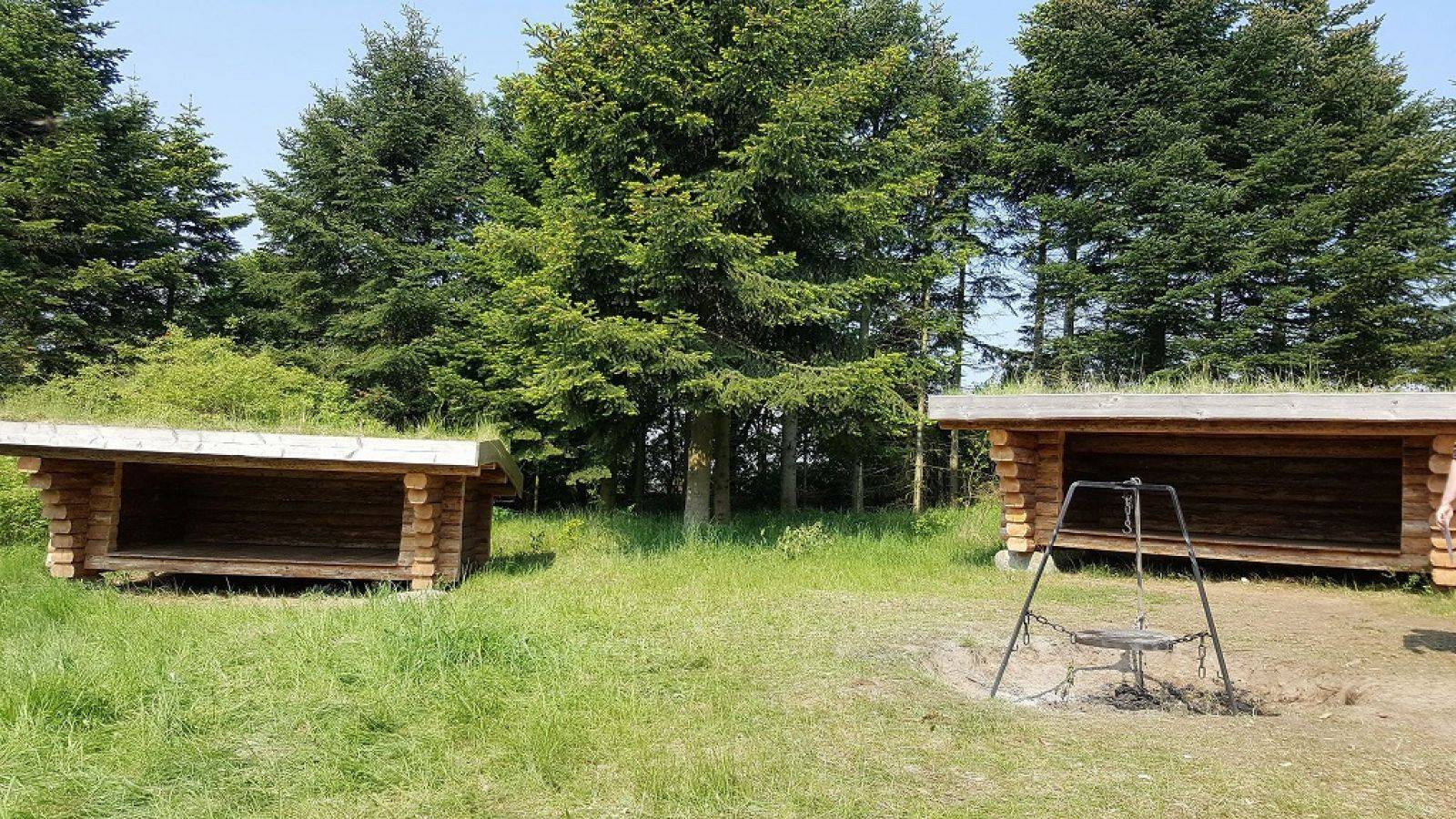 Billede af shelter Åmosenaturcamp