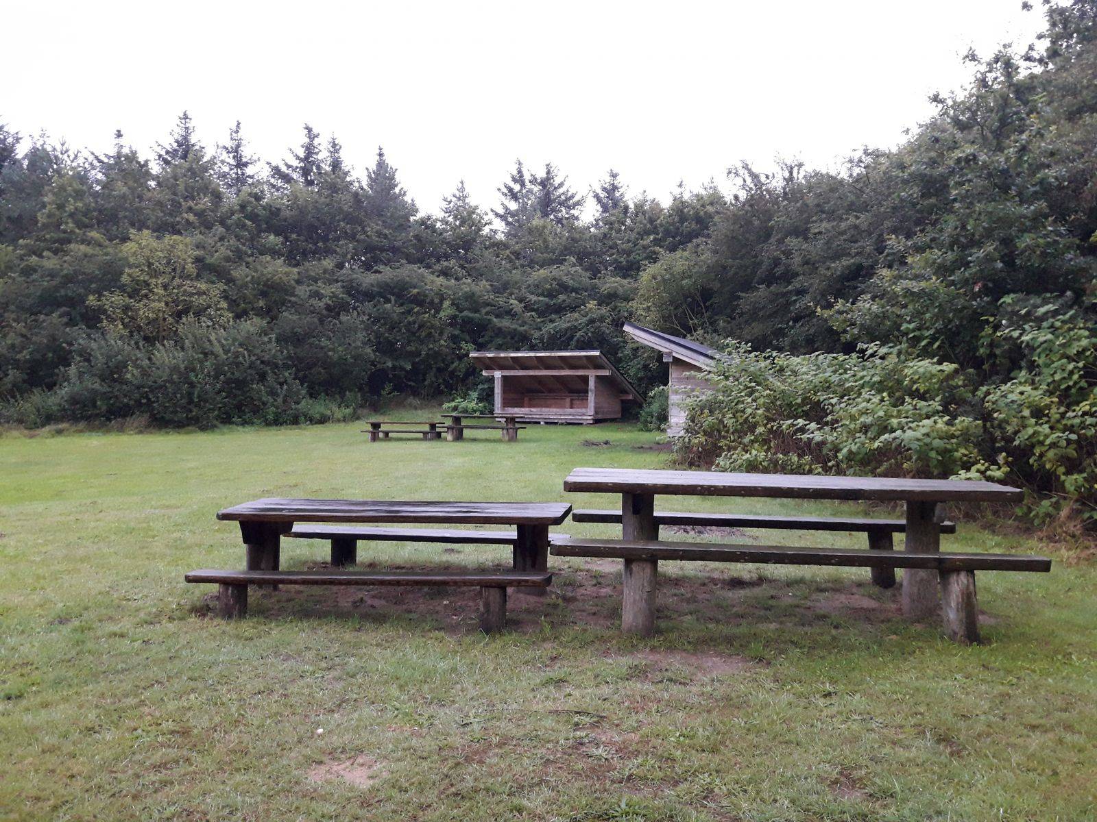 Billede af shelter Trædestenen Nebel Bjerg, shelter 1