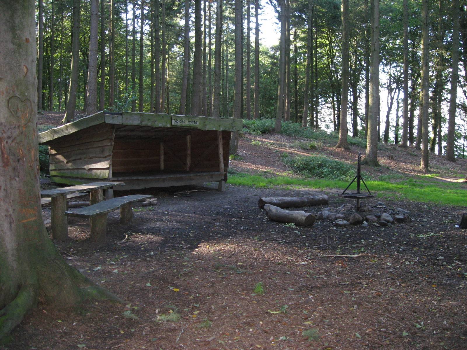 Billede af shelter Als, Nørreskoven, Noldes Plads