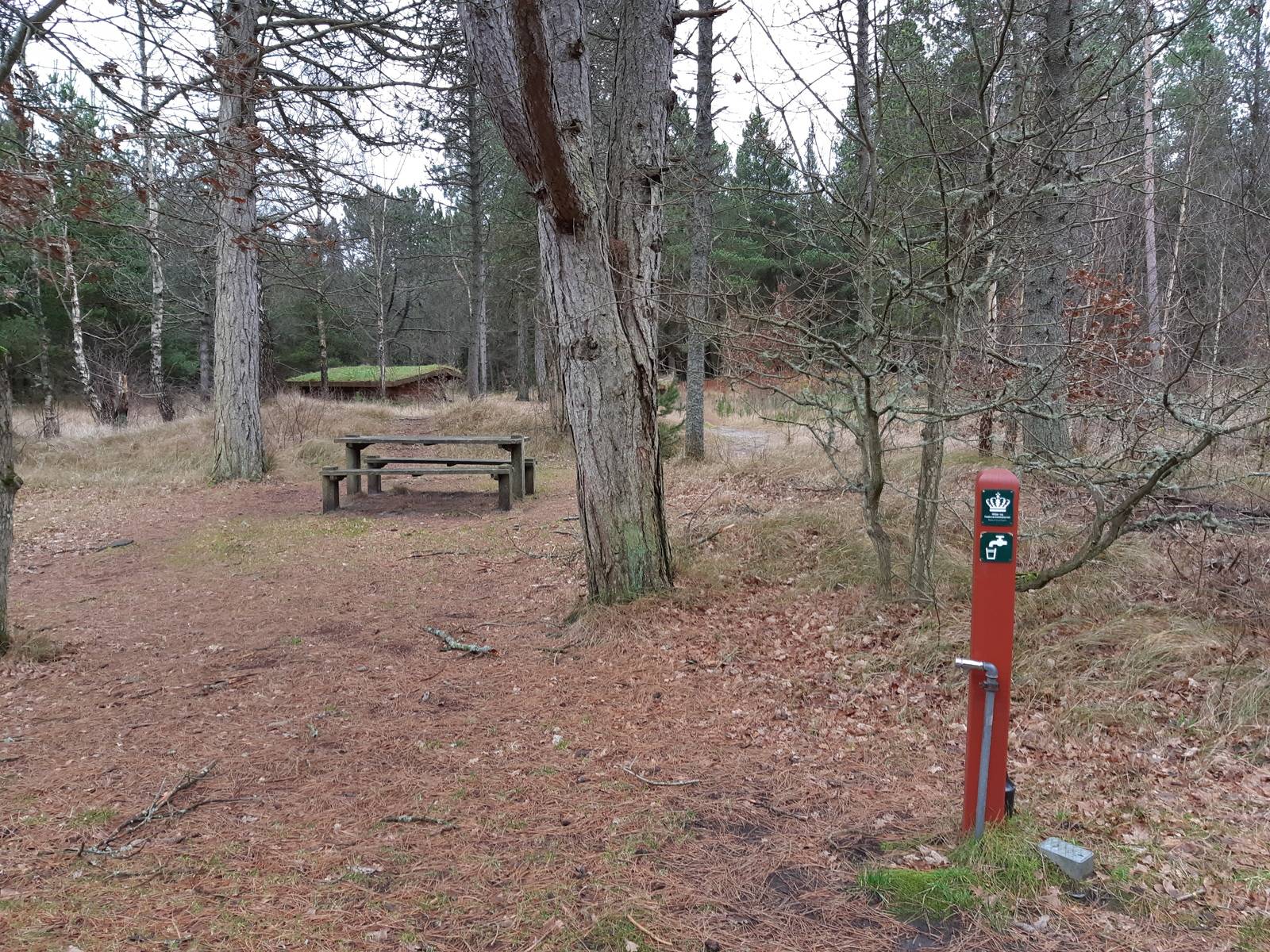 Billede af shelter Skagen Klitplantage - Hulsigstien shelter