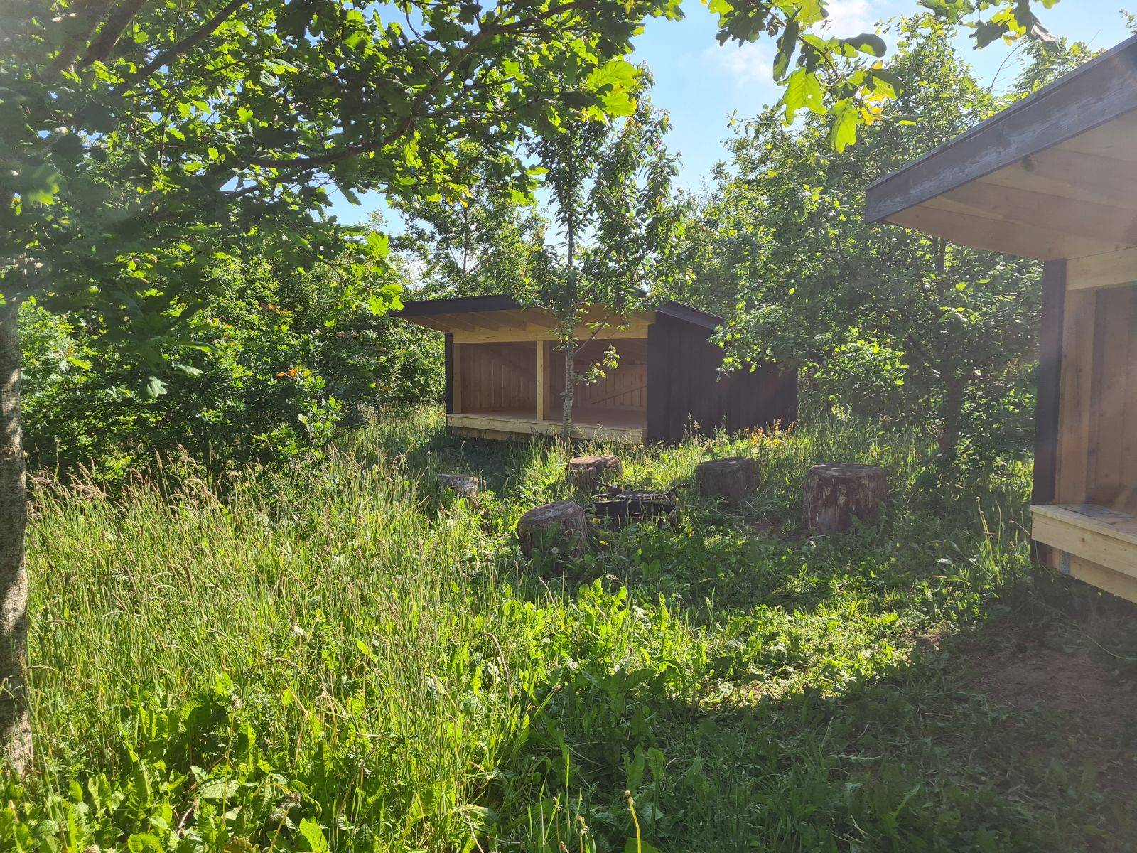 Billede af shelter Shelter 1 Elmelund