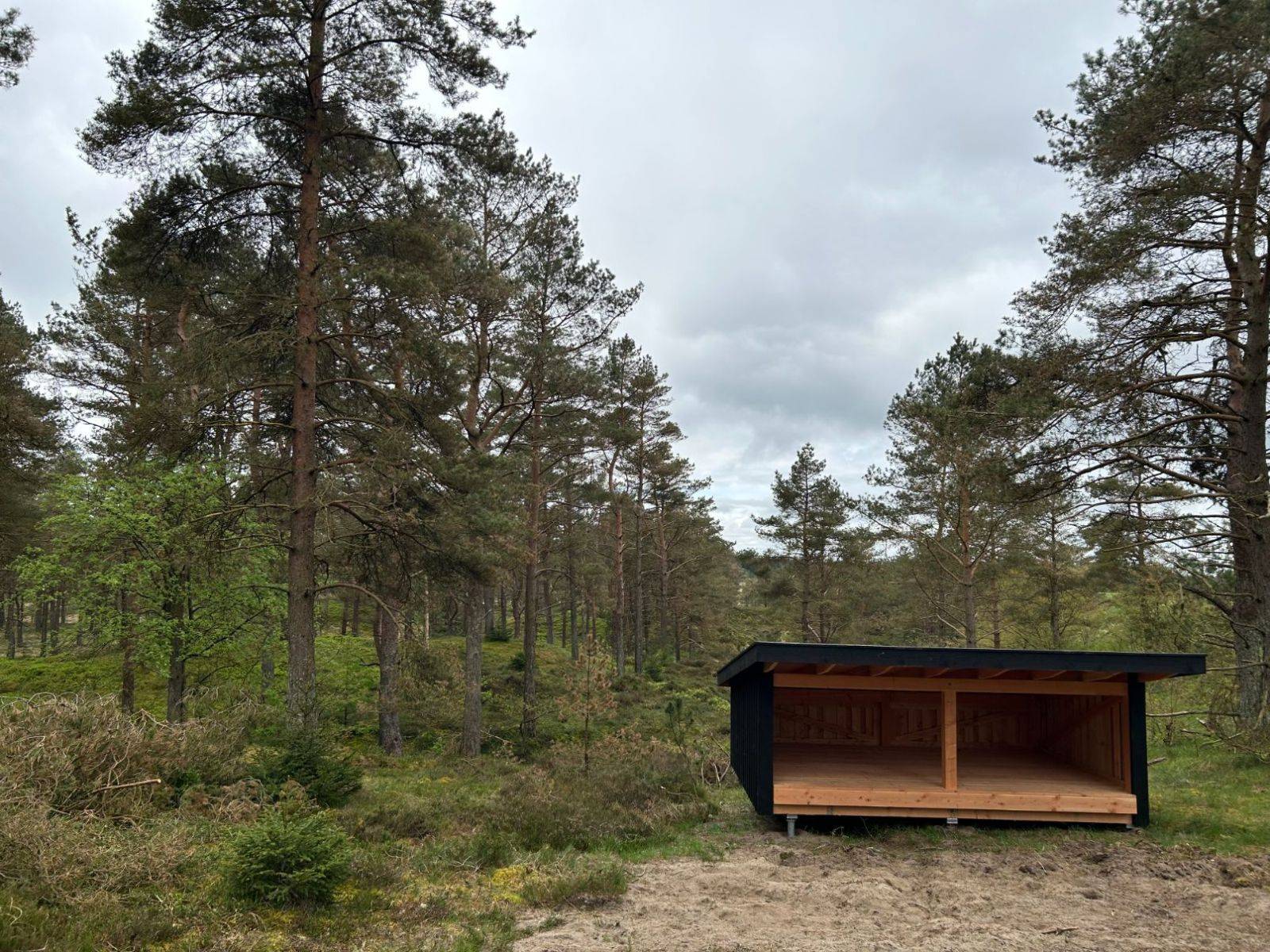 Billede af shelter Gludsted Plantage, Den Skæve Bane - shelter 1