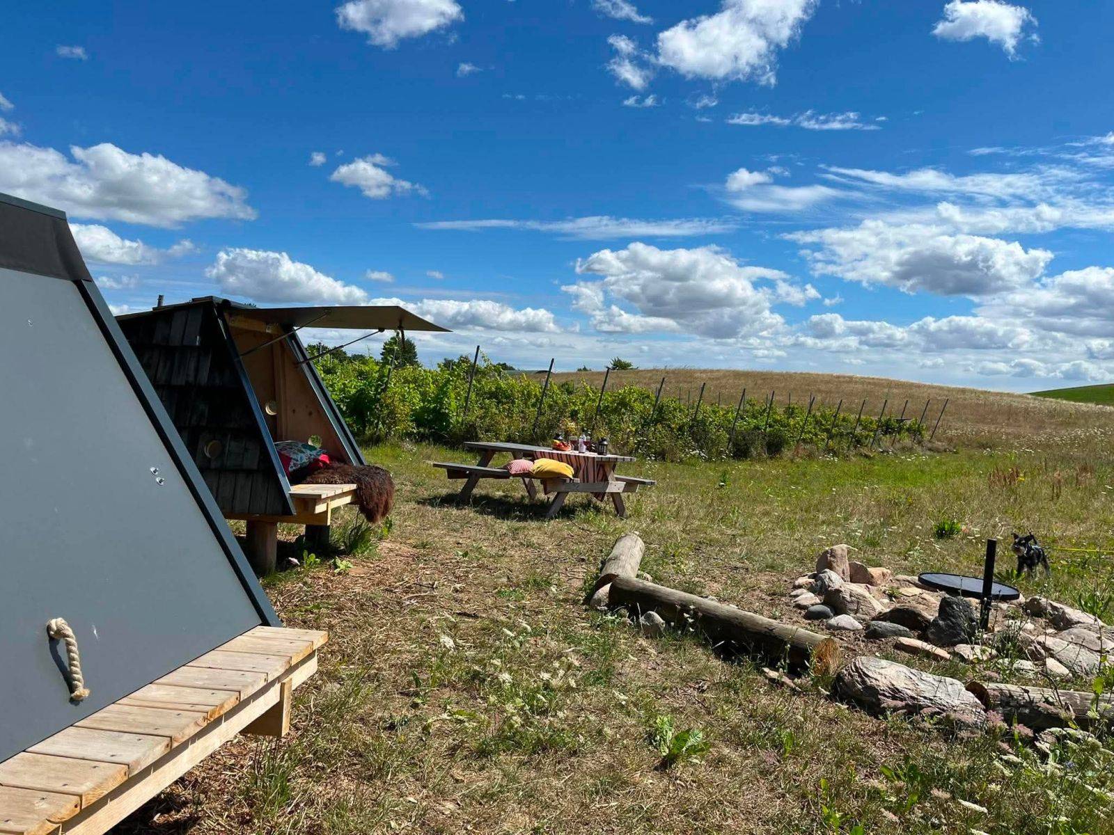Billede af shelter To 2-mands shelter ved Bjørnø Vingård – billede 8