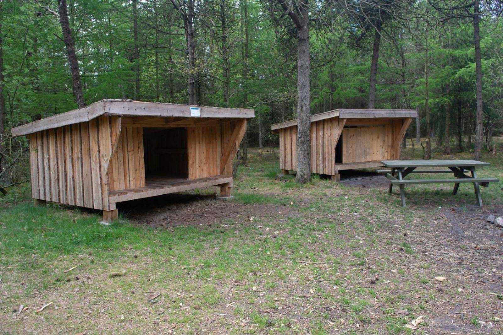Billede af shelter Myrhøj, Shelterplads
