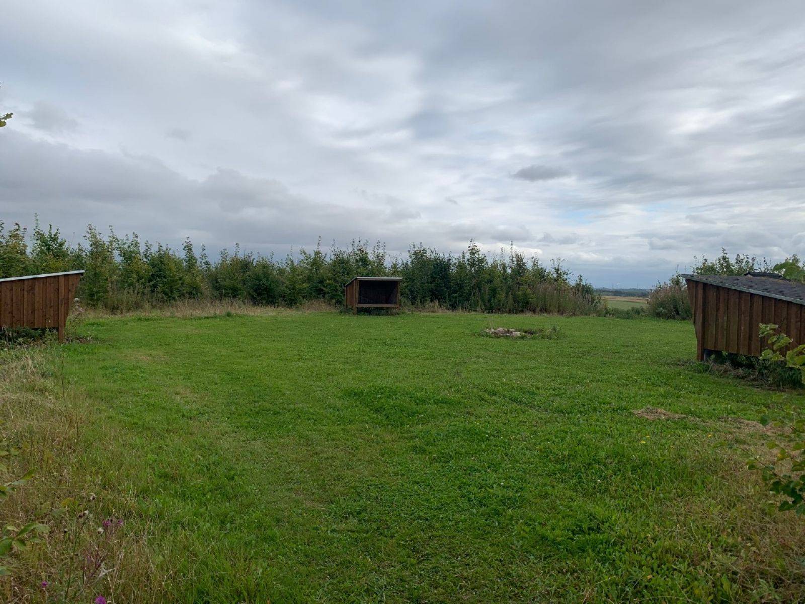 Billede af shelter Hadbjerg Skov Shelterplads