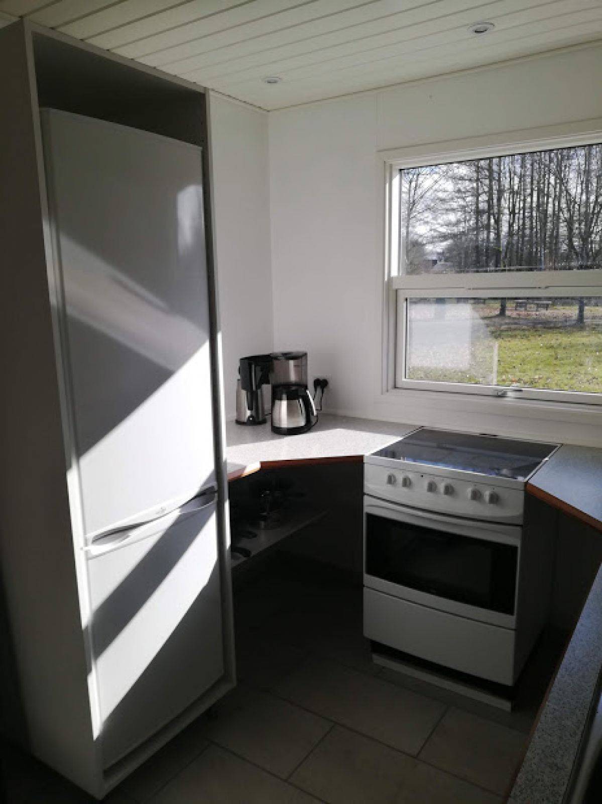 Billede af shelter Søanlæg i Haverslev – billede 5