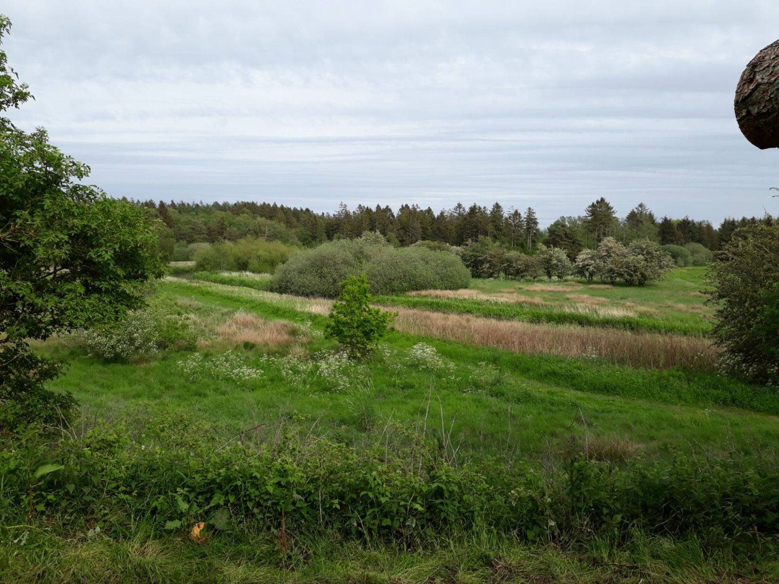 Billede af shelter Fårbæk shelterplads – billede 2