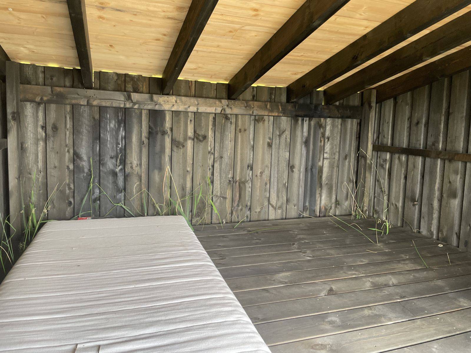 Billede af shelter Shelter ved Abildhede – billede 2