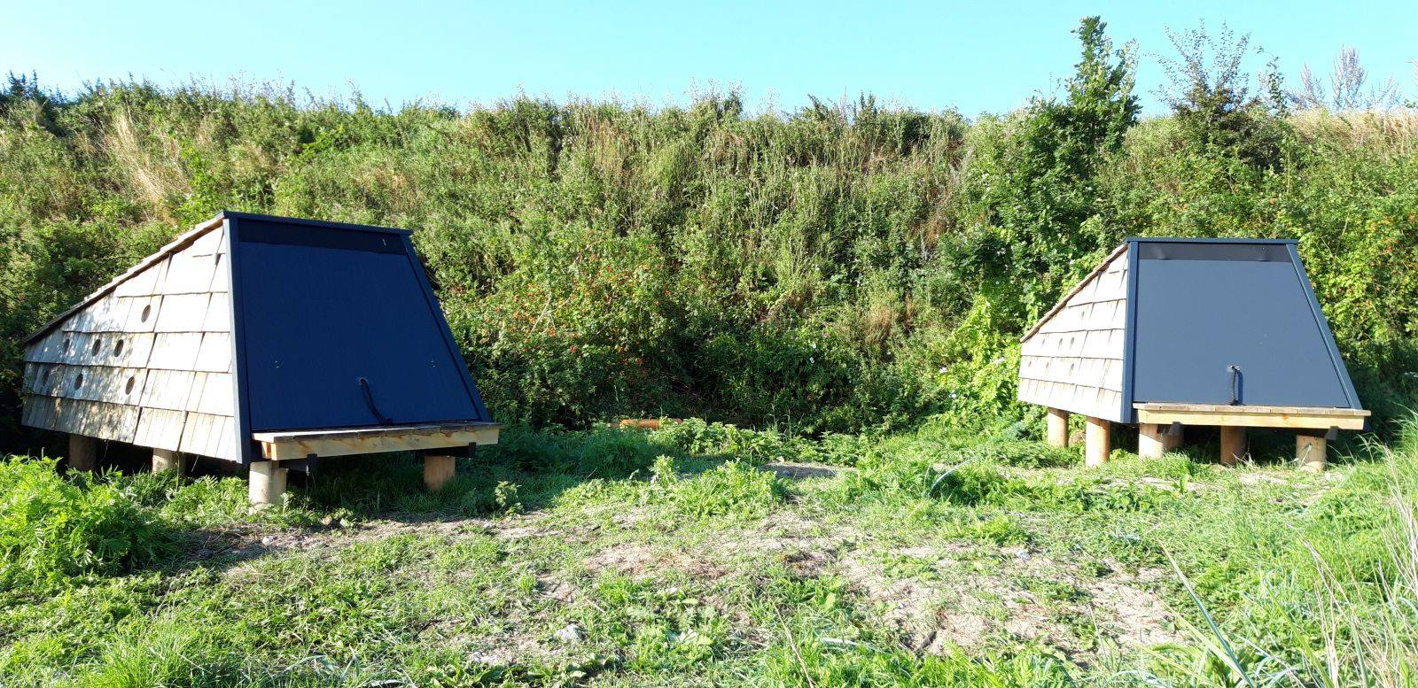 Billede af shelter Midskov Shelter