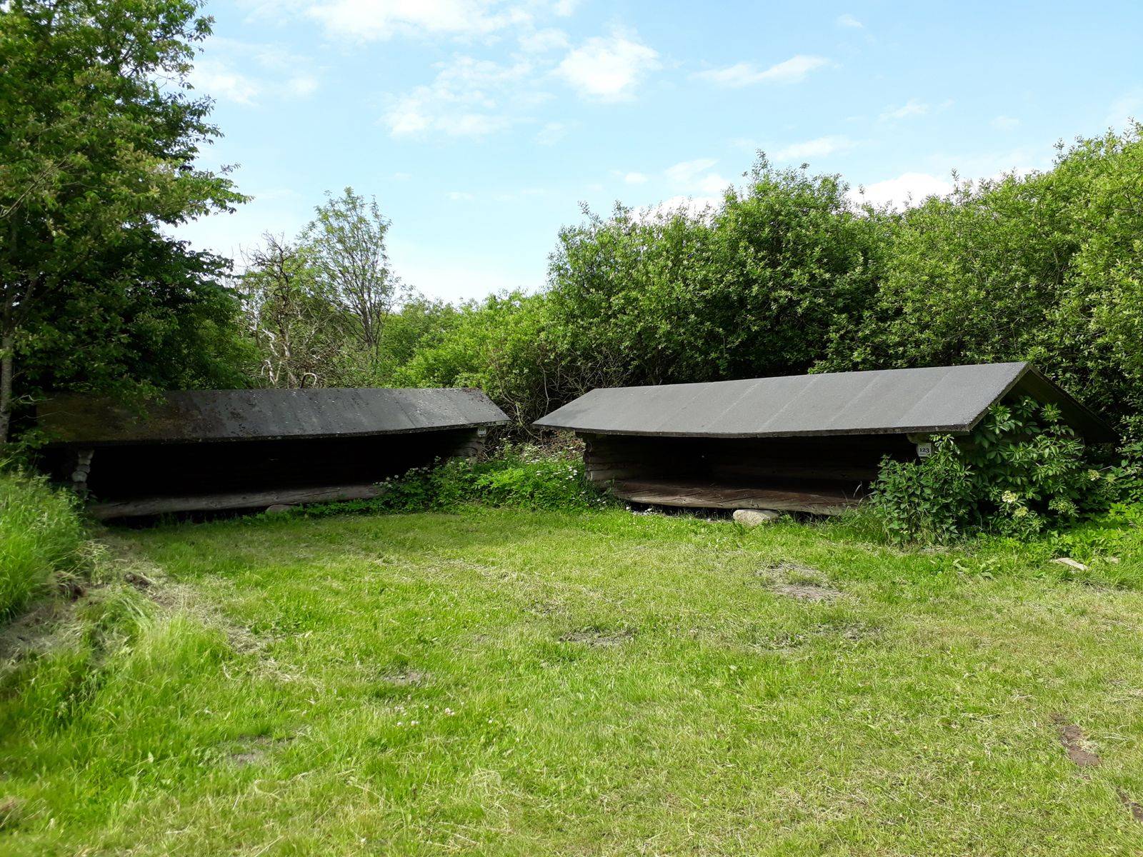 Billede af shelter Krattet, ved Simmelkær shelterplads – billede 2