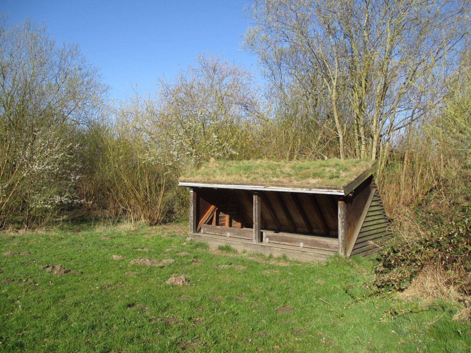 Billede af shelter Shelter ved Åløkkestedet
