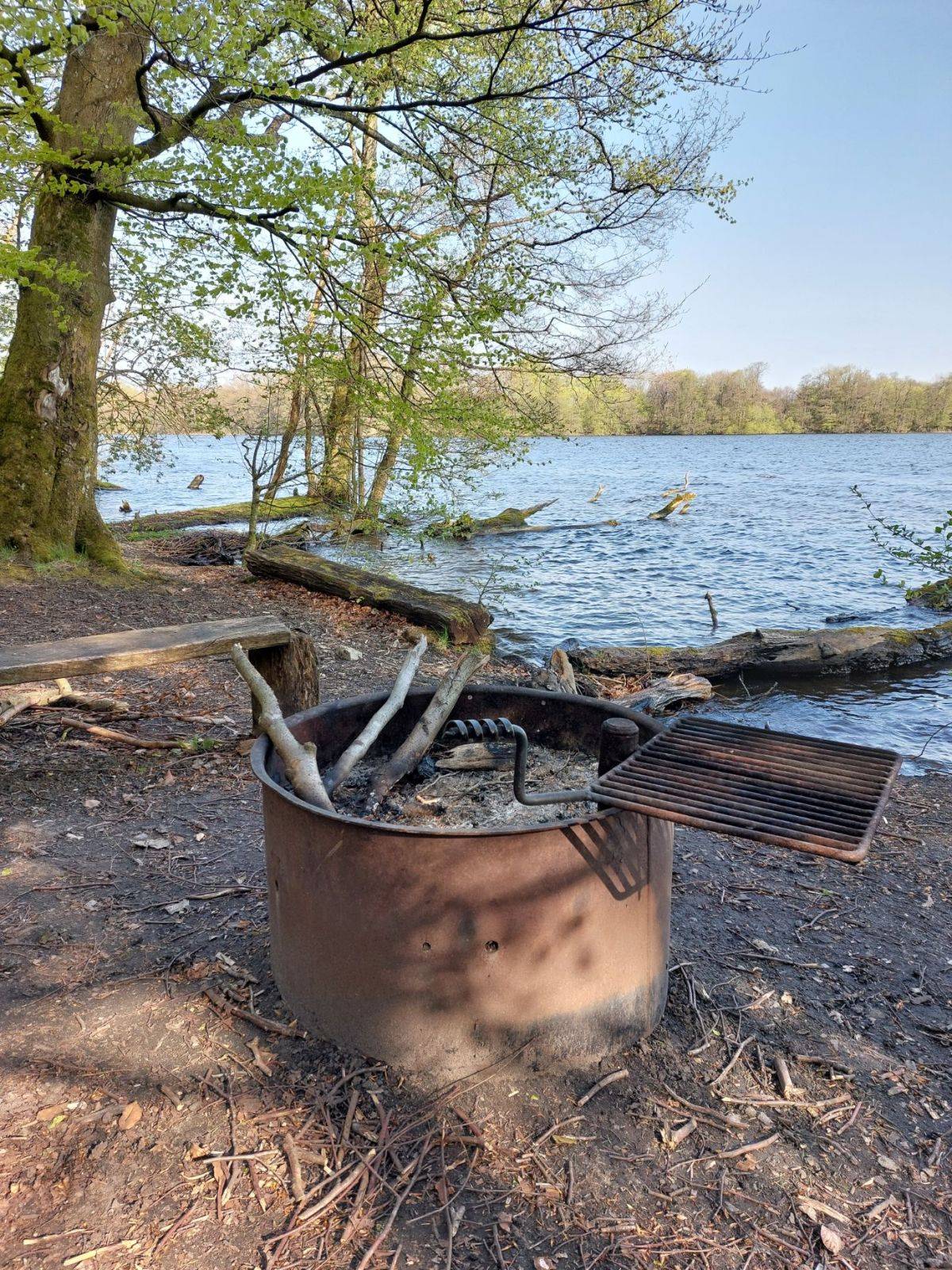 Billede af shelter Ryget Skov, shelter ved Farum sø – billede 4