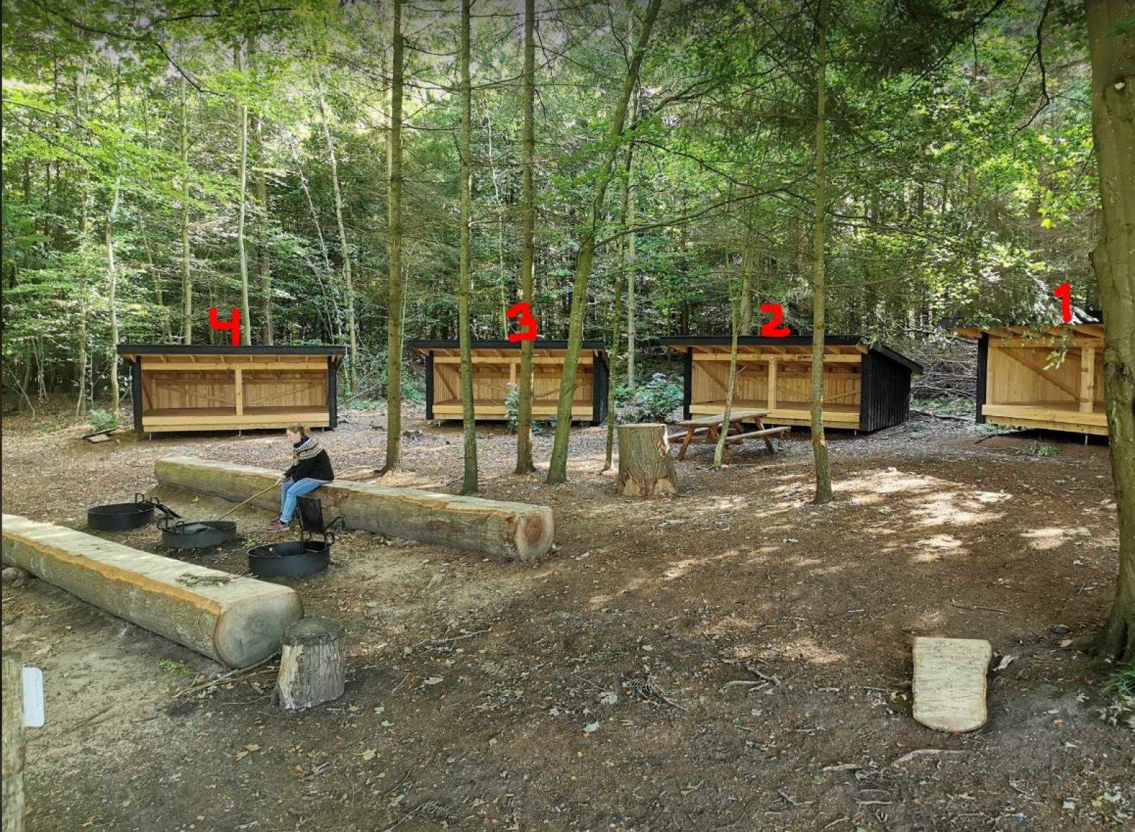 Billede af shelter Shelter 2 - Sollerup Skov