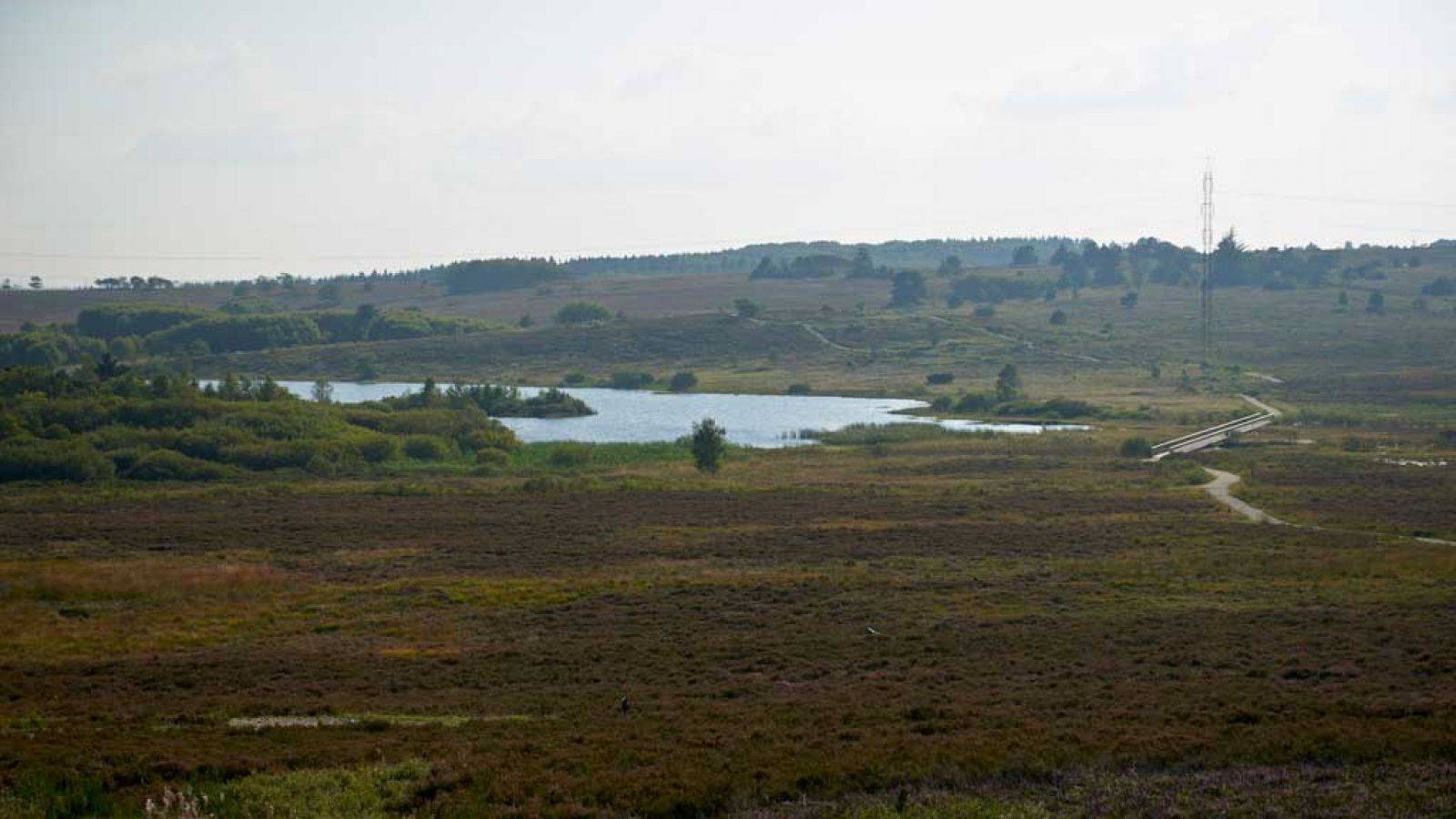Billede af shelter Præstbjerg Naturcenter – billede 2