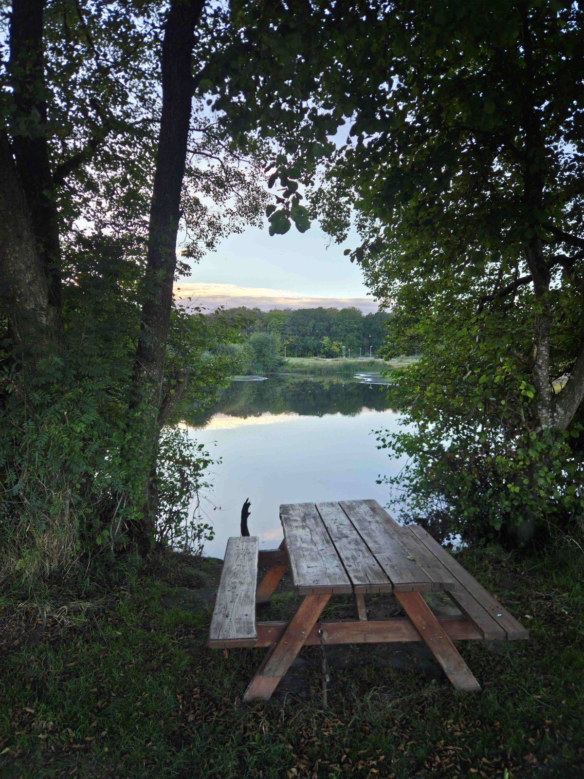 Billede af shelter Shelterplads ved Skovsøen i Fårvang