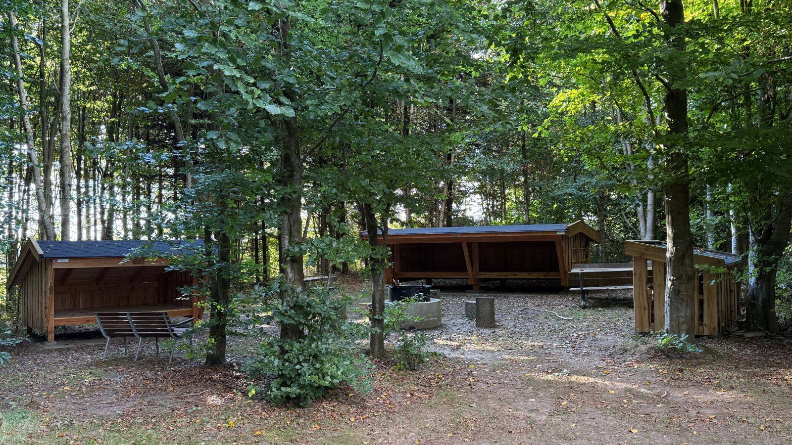 Billede af shelter Shelterplads i Larsens Skov, Årre
