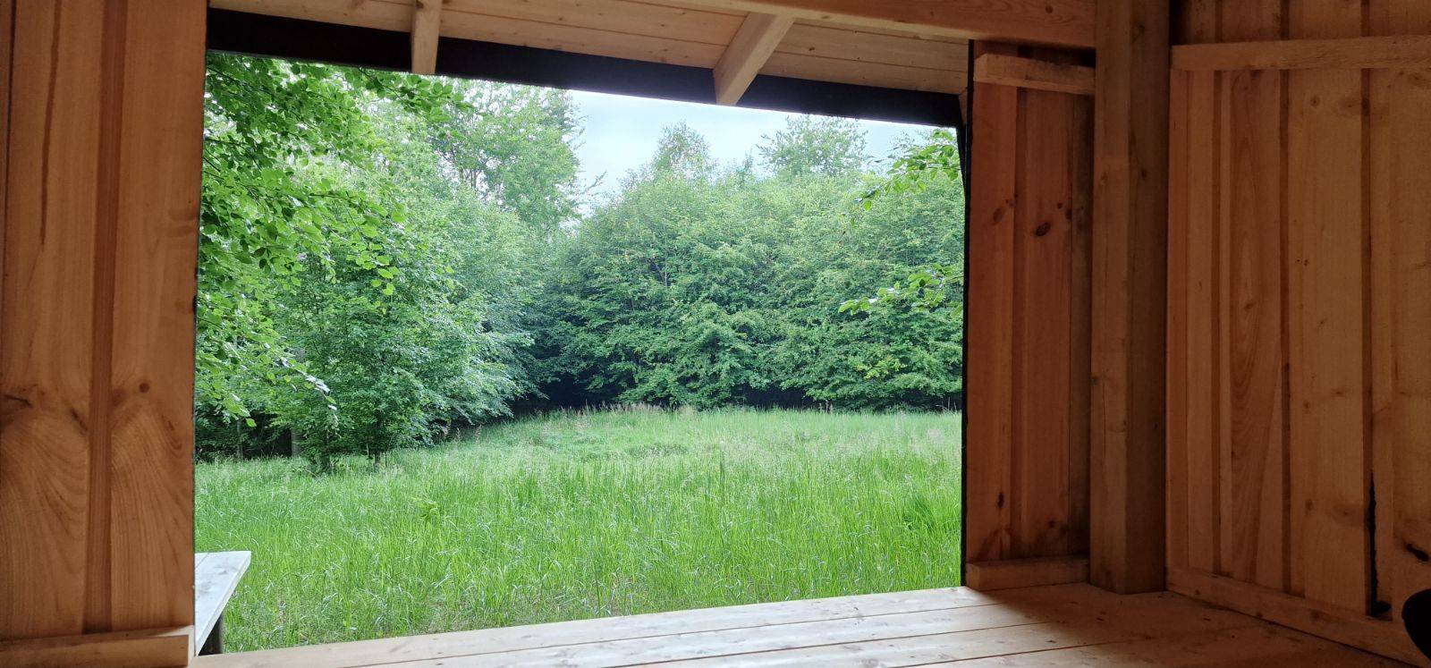 Billede af shelter Fluesnapperen shelter – billede 4