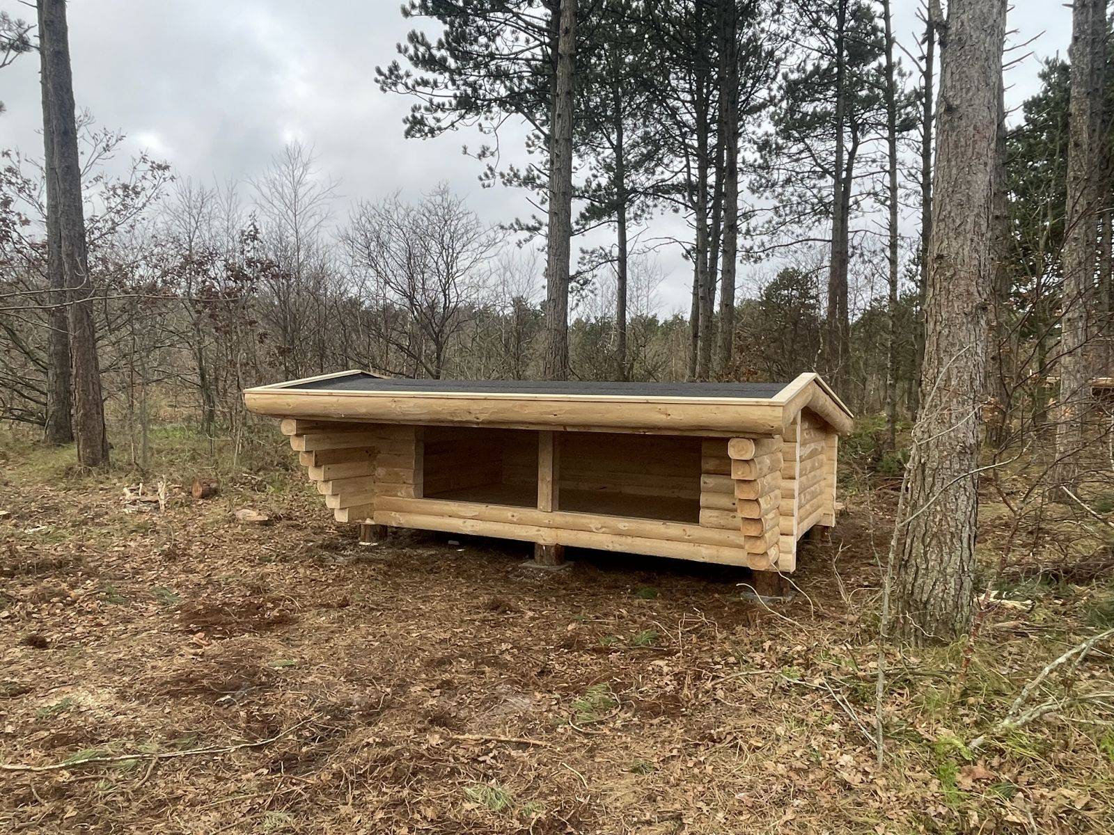 Billede af shelter Sheltere Professorens plantage – billede 2