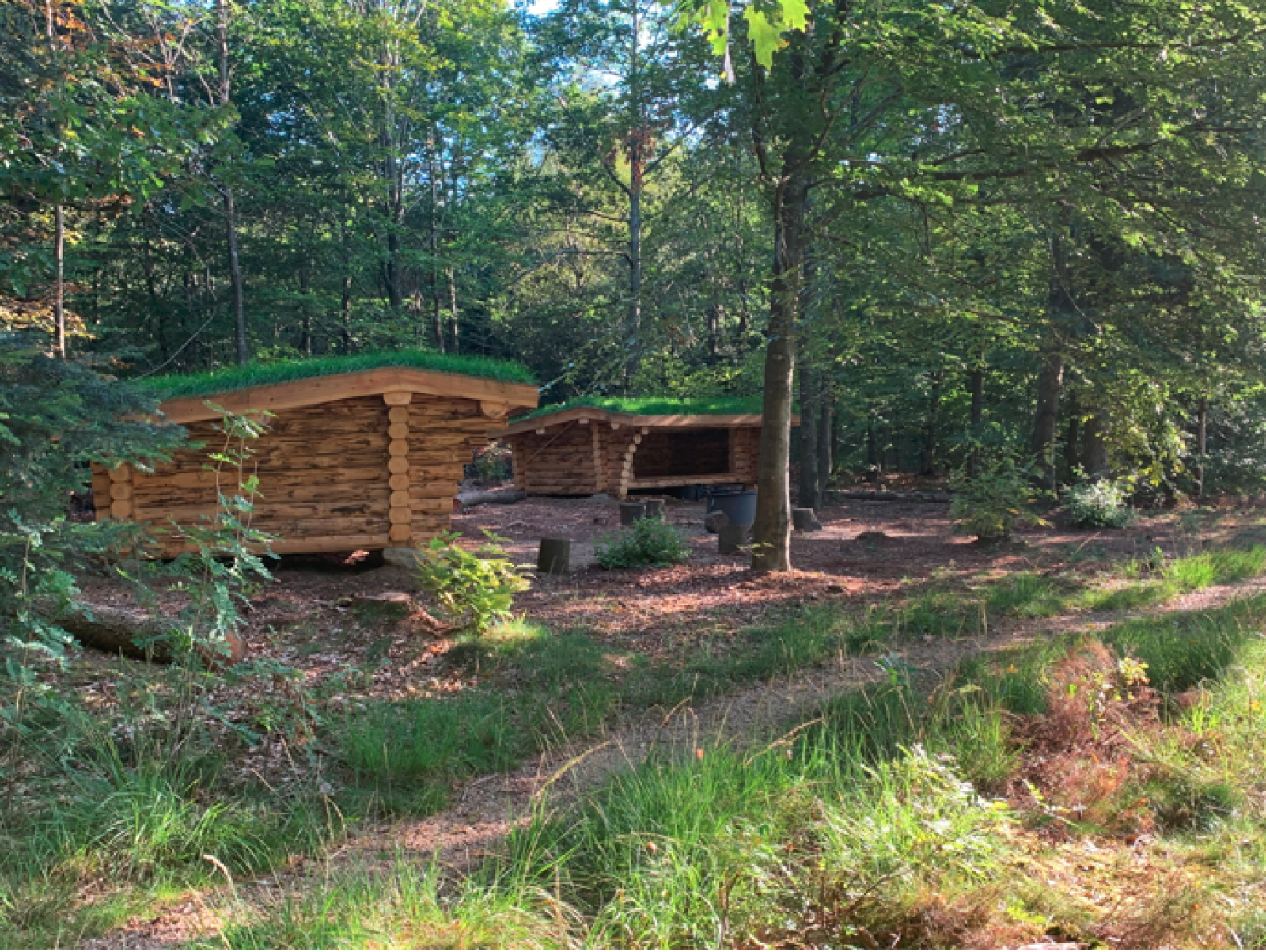 Billede af shelter Shelters i Agerbæk skov