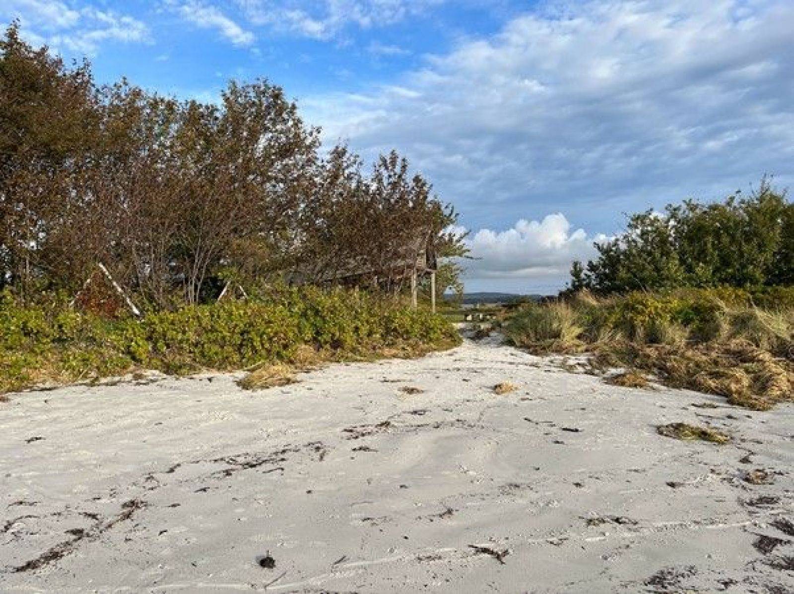Billede af shelter Snogebæk shelter – billede 5